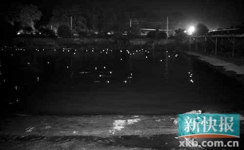 昨日，西湖村鱷魚養(yǎng)殖場已修復(fù)圍欄。