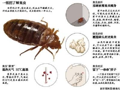 鐵路部門回應京滬高鐵現(xiàn)臭蟲