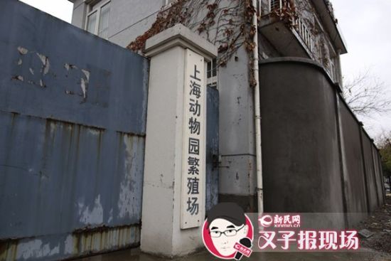 圖說：新民網(wǎng)記者趕到時(shí)，上海動(dòng)物園繁殖場大門緊閉。新民網(wǎng) 記者 蕭君瑋 攝