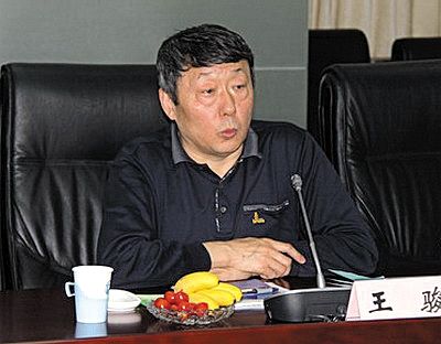 國家能源局新能源和可再生能源司司長王駿。