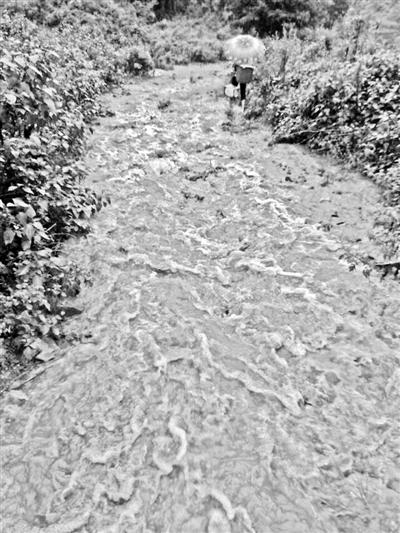梅子回家的山道，晴天是路，雨天是河