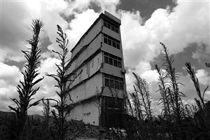 這幢5層的“片片樓”周圍已是一片拆遷后的廢墟，左邊的一堵墻上，不少鋼筋裸露在外面 圖片來(lái)源：新華網(wǎng)