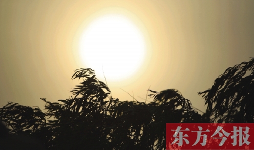 五月十四日，傍晚時(shí)分，鄭州的天空再次被沙塵遮蓋
