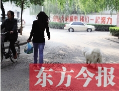 啟明一巷內(nèi)，一名女子帶著狗狗去買(mǎi)菜。狗隨地大小便，狗的主人未制止