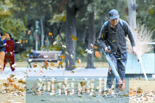 秋風吹過，落葉滿地