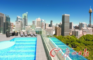 酒店屋頂游泳池俯瞰公園美景。
