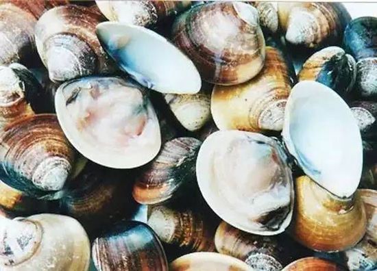 秋季最適合吃的海鮮是這10種 你吃對了嗎？