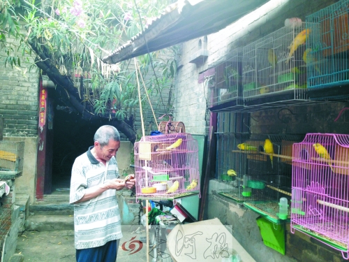 郭家大院的看護(hù)人郭天育老人在給鸚鵡喂食，對(duì)大院，他很不舍。