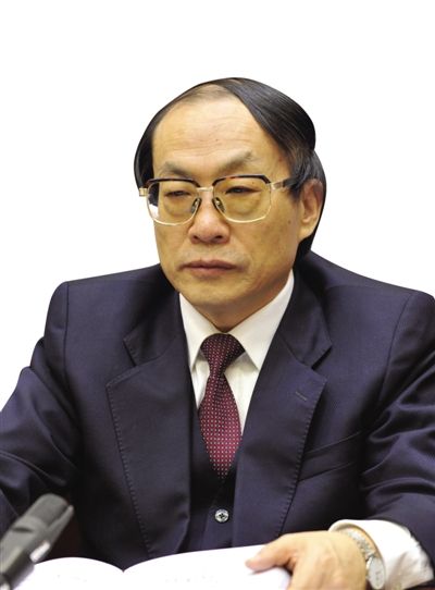 劉志軍（資料圖片）。新華社發(fā)