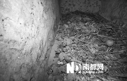 　5月29日，在以色列特拉維夫市雅法地區(qū)，一處集體墳?zāi)贡话l(fā)現(xiàn)。