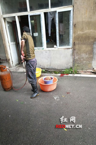5月8日，男子在校園里殺狗，地上殘留一塊血跡。目擊者供圖。