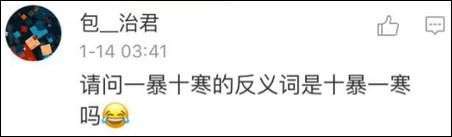 鶴立雞群？雞立鶴群！
