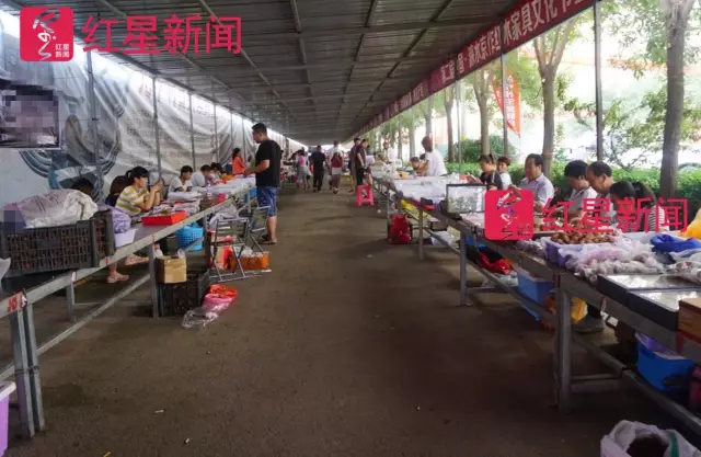 文玩核桃遇冷由幾萬(wàn)一對(duì)降到5元沒人要？商戶否認(rèn)