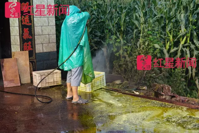 文玩核桃遇冷由幾萬(wàn)一對(duì)降到5元沒人要？商戶否認(rèn)