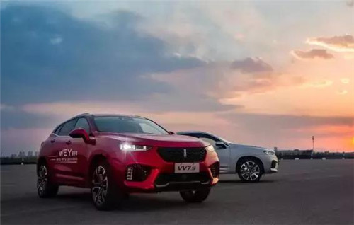 去年“蹦”出來的新汽車品牌們，現(xiàn)在活得怎么樣了？