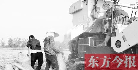 李正厚的妻子鮑本華（右）和一位村民拎著麻袋來(lái)到收割機(jī)前，接住傾倒出來(lái)的麥粒