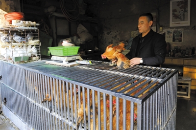 南京另一家農貿市場內待售的活雞。因南京出現(xiàn)H7N9禽流病例，買活雞的顧客減少。