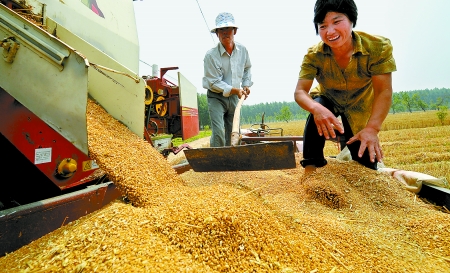 6月3日， 濮陽(yáng)開(kāi)發(fā)區(qū)胡村鄉(xiāng)后范莊村的續(xù)秀萍看著新打的粒大飽滿的小麥喜上眉梢。