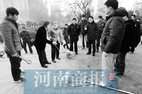 一只辦過狗證的小白狗，因為沒有拴犬鏈，被執(zhí)法人員暫扣