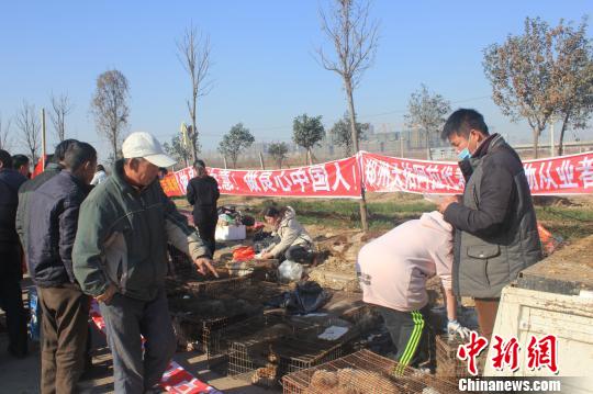 圖為百余名愛狗人士把老李的貨車攔截，數(shù)十人正在從貨車上卸下裝滿狗的鐵籠。　馬義恒　攝