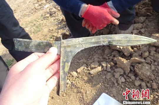 河南發(fā)掘戰(zhàn)國至東漢墓葬群 出土罕見青銅劍、戈（圖）