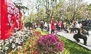 市民紛紛將鏡頭對(duì)準(zhǔn)花叢。