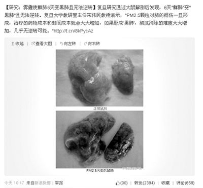昨天，一則“霧霾使鮮肺6天變黑肺”的新聞在網(wǎng)上引發(fā)熱議。網(wǎng)絡(luò)截圖