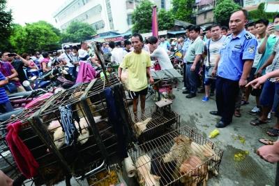 今天是廣西玉林狗肉節(jié)，市場上的攤販增加了數(shù)倍，城管也出動對市場上的占道行為進行規(guī)范 記者 劉暢 攝