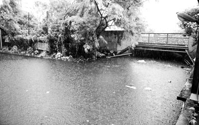 白云區(qū)棠樂路通往石槎路的一個鐵路橋底涵洞常被暴雨積水淹沒?！缎畔r報》供圖
