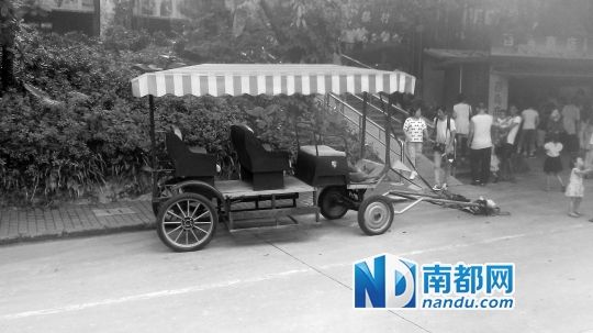 園方則稱解剖后發(fā)現(xiàn)馬死于心臟衰竭，“與累無關(guān)”。