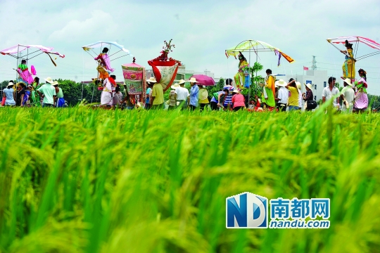 崖口村每年都在村里舉行飄色巡游活動(dòng)。
