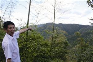 村民吳學田告訴記者，對面兩座山就是潘建友承包的部分山場 見習記者 邱一文 攝