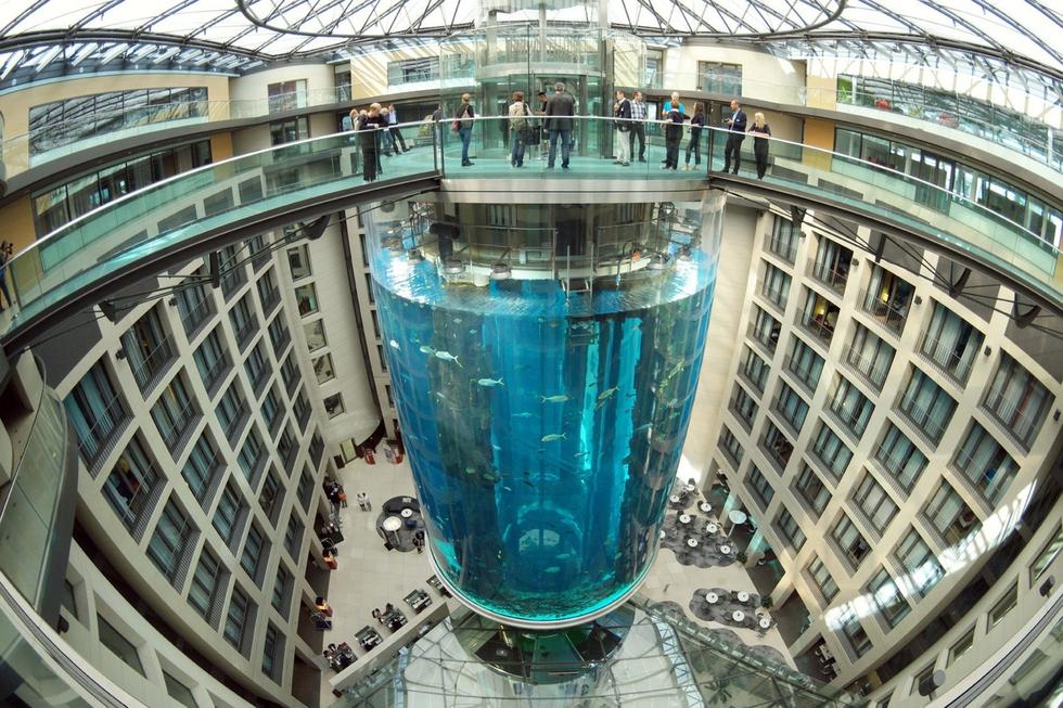 在圓柱水族館主體下方，還有一些別的展館。