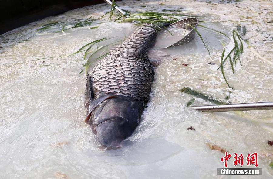 “魚王”在3米大鍋內(nèi)烹飪。 圖片來源：CFP視覺中國