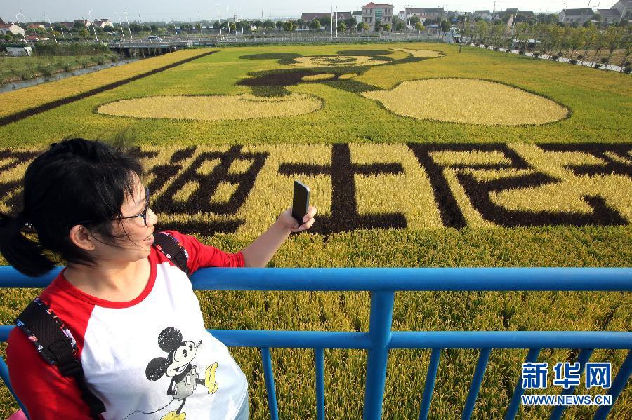 10月25日，游客在觀景臺上觀賞“米老鼠”稻田畫。