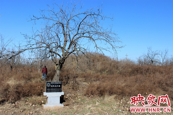 在叔齊墓的前面，豎著新鄭市人民政府今年剛立的石碑，上面寫著“新鄭市文物保護(hù)單位”。