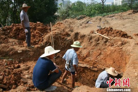 巖橋村廟山地區(qū)考古現(xiàn)場(chǎng)。　桐廬文管辦　攝