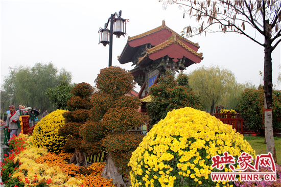 天好、花美 中國開封第32屆菊花文化節(jié)延長(zhǎng)一周