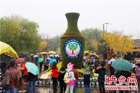 天好、花美 中國開封第32屆菊花文化節(jié)延長(zhǎng)一周