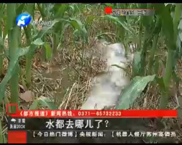 水都去哪了？