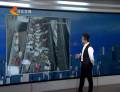 “大胃王”！ 狗狗吞下87只襪子