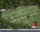 “垃圾場”拍婚紗：玩噱頭還是做環(huán)保？