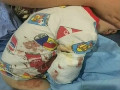 猛獸出沒 注意！2歲男童在動物園被白虎咬掉右臂