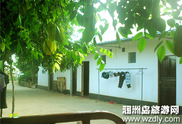 �����O�Ҙ�(l��)(ʯ�ݿ�)