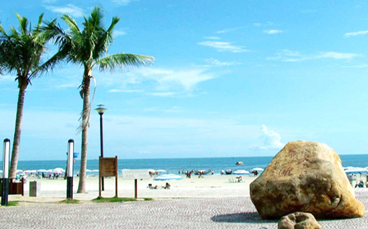 �y����������