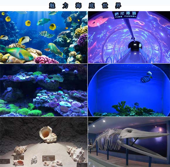 ��������֮��